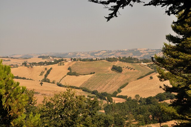 min 2009 08 22 mondavio 100